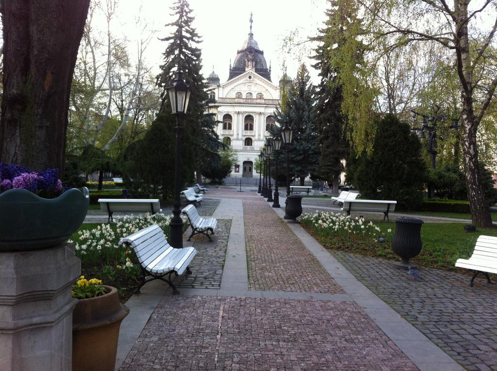 The Heart Of Kosice Apartment Екстериор снимка